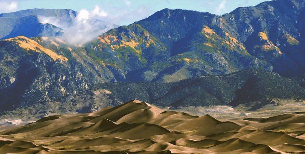 dunes